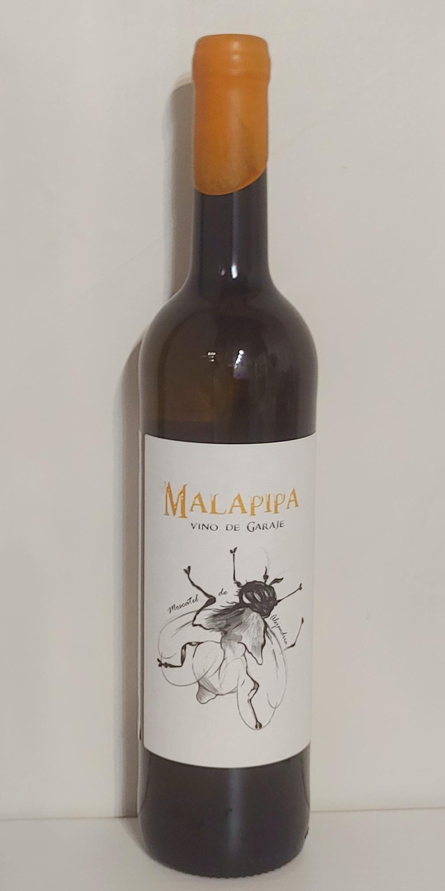 Vino Malapipa